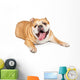Tired Old Bulldog Wall Decal