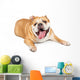 Tired Old Bulldog Wall Decal