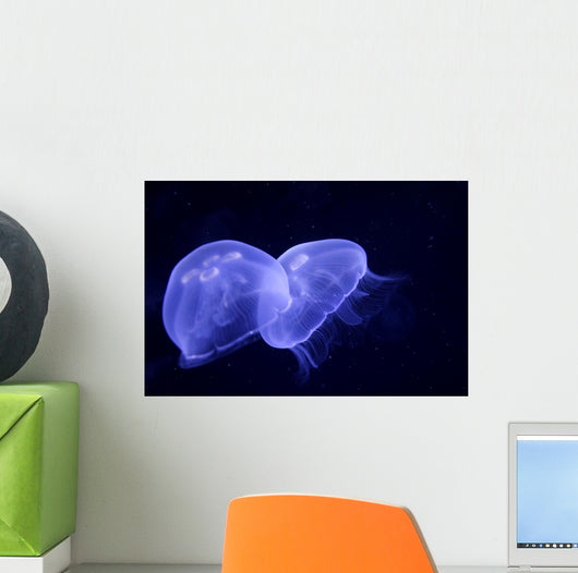 Underwater Image Jellyfishes Wall Decal