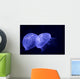 Underwater Image Jellyfishes Wall Decal