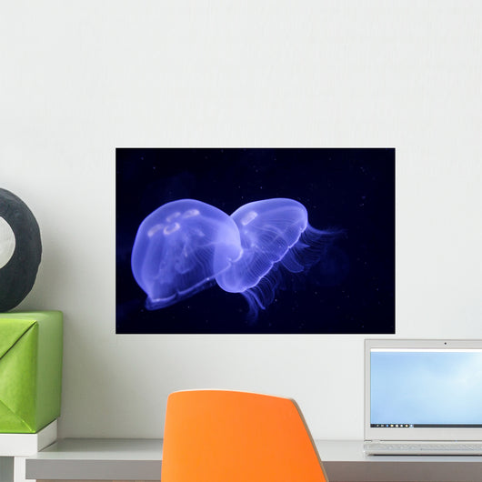 Underwater Image Jellyfishes Wall Decal