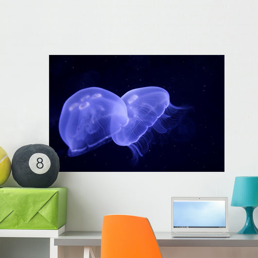 Underwater Image Jellyfishes Wall Decal