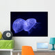 Underwater Image Jellyfishes Wall Decal