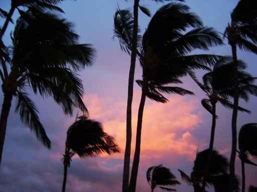 Hawaii-17 Wall Decal