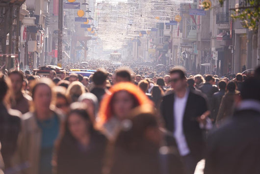People Crowd Walking Street Wall Decal
