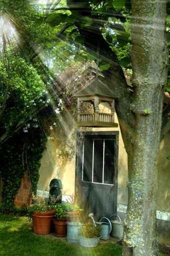 Petit Coin Paradis Wall Decal