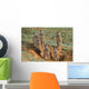 Meerkat Family Wall Decal