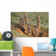 Meerkat Family Wall Decal