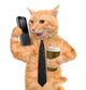 Business Cat Wall Decal