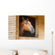 Horse Stable Wall Decal