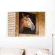 Horse Stable Wall Decal