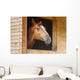Horse Stable Wall Decal