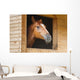 Horse Stable Wall Decal