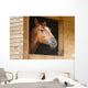 Horse Stable Wall Decal