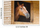 Horse Stable Wall Decal