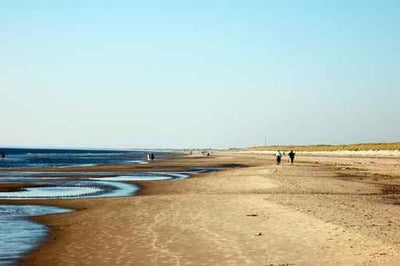 North Sea Beach Denmark Wall Decal