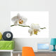 White Orchid Branch Wall Decal