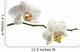 White Orchid Branch Wall Decal
