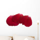 Three Red Rose Petals Wall Decal