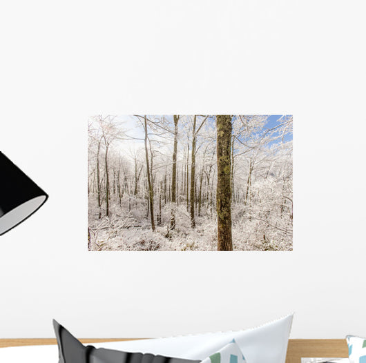 Snowy Smoky Mountains Wall Decal