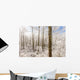 Snowy Smoky Mountains Wall Decal