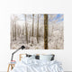 Snowy Smoky Mountains Wall Decal
