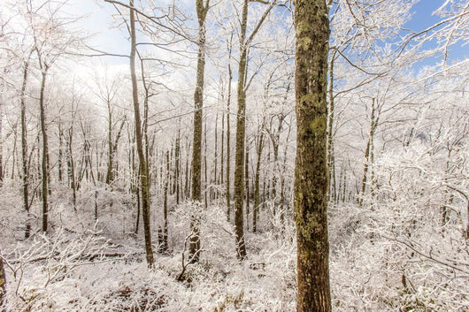 Snowy Smoky Mountains Wall Decal