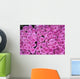 Hintergrund Rosen Wall Decal
