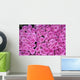 Hintergrund Rosen Wall Decal