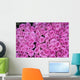 Hintergrund Rosen Wall Decal
