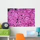 Hintergrund Rosen Wall Decal