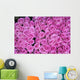 Hintergrund Rosen Wall Decal