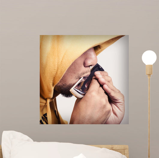 Harmonica Wall Decal
