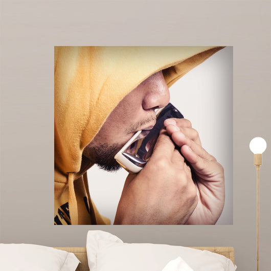Harmonica Wall Decal