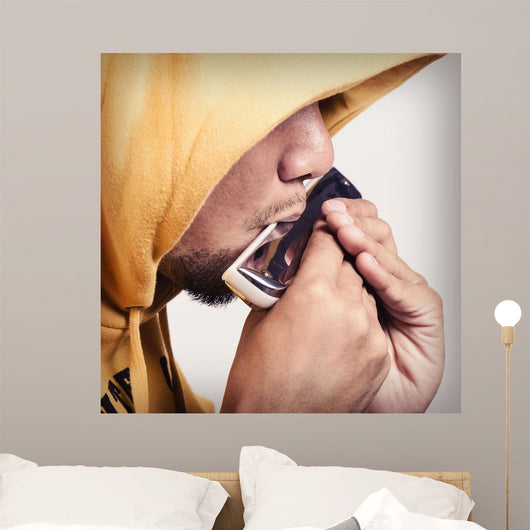 Harmonica Wall Decal