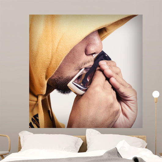 Harmonica Wall Decal
