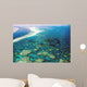Aerial View Great Barrier Reef Australia-4 Wall Mural