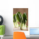 Chinese Cabbage Bok Choy Wall Decal