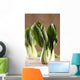 Chinese Cabbage Bok Choy Wall Decal