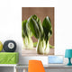 Chinese Cabbage Bok Choy Wall Decal