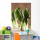 Chinese Cabbage Bok Choy Wall Decal