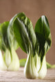 Chinese Cabbage Bok Choy Wall Decal