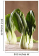 Chinese Cabbage Bok Choy Wall Decal