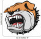 Angry dog Wall Decal