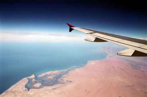 Flight Wall Decal