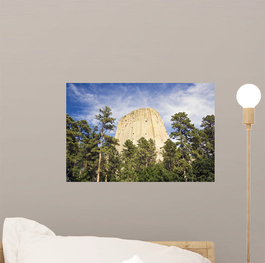 Devils Tower National Monument Wall Decal