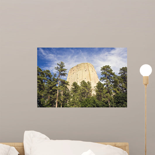 Devils Tower National Monument Wall Decal