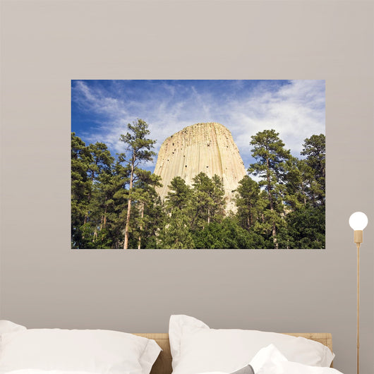 Devils Tower National Monument Wall Decal