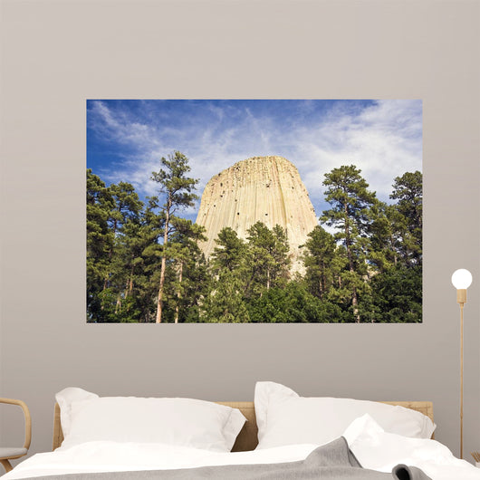 Devils Tower National Monument Wall Decal