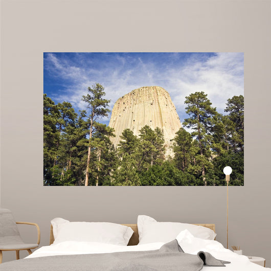 Devils Tower National Monument Wall Decal